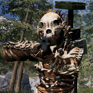 Скелет 455(iks)