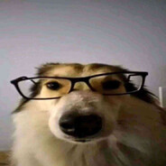 Сигмажор