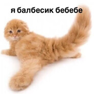 рукаblood