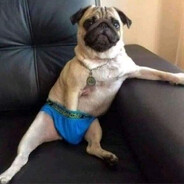 Mops