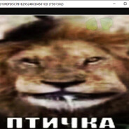 ☁†PTIchka|†☁