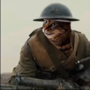 Kot_Viselchak