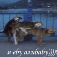 Писькогрыз