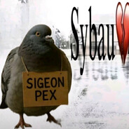 𝑠𝑒𝑚𝑔𝑎