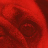 Мопсы правят миро