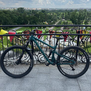 Дробовиктор