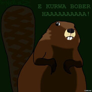 DRG | BOBER KURWA