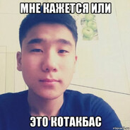 zolotoykotak