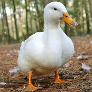 VlaDICK#DOZARUST