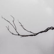 farixx|опонент        116