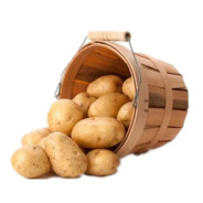 Бульба