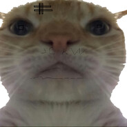 f1Xsee