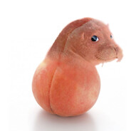 bablgumbll
