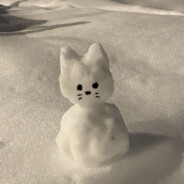 TSRP winter
