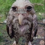 astrog | Altab
