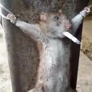 æHłr¥rĞæ
