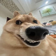 bes