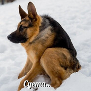 писькогрыз