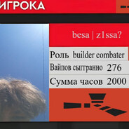 besa | z1ssa?