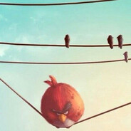 пипидастор