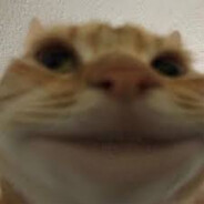 katz1n_