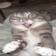 Podgyz
