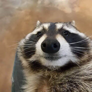 kykyxa
