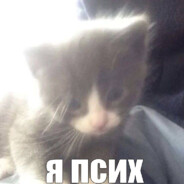 [RM]Don’t kill 𓆩𓆪