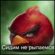 сидим не рыпаемся