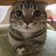 Unusual