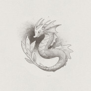 (AFK)dragan