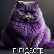 пiпiдастр