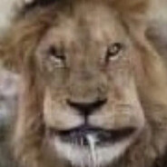 шуфлядка#BUMMERRUST