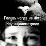 голубь