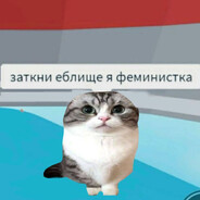 tapok_n1