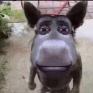 Ишак Сирийский #Bro