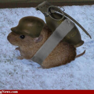 BATTLE_HAMSTER