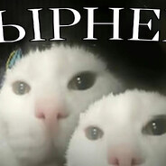 Сырнеке