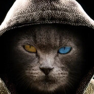Likk_ʕ•ᴥ•ʔ