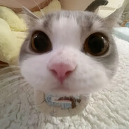 Лариса Долина
