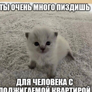 Опарыш на дрисле