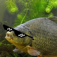 Крутой Карасик