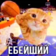 ДАНИЛА ТЕКИЛА