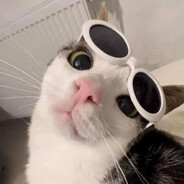 sqwizzy