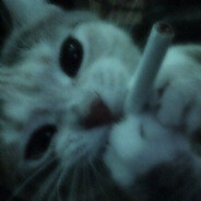 ღ crazzy_babka ღ