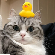 #RUSTWIN RWS | モンスター