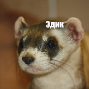 SNEVK1N
