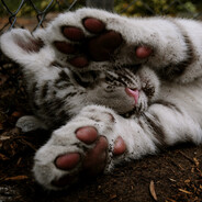 мирааажиии