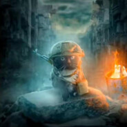 [RM] S.T.A.L.K.E.R.