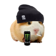 ФАН ХОМЯК